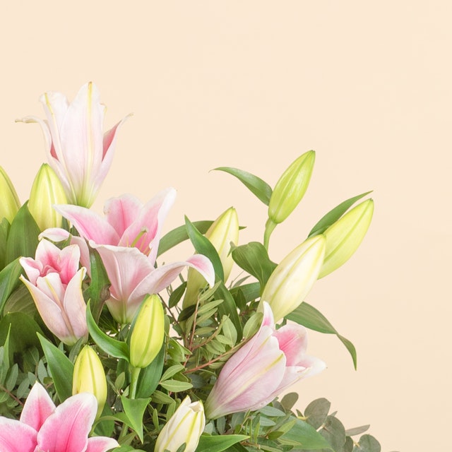 Liliums Blancos y Rosas