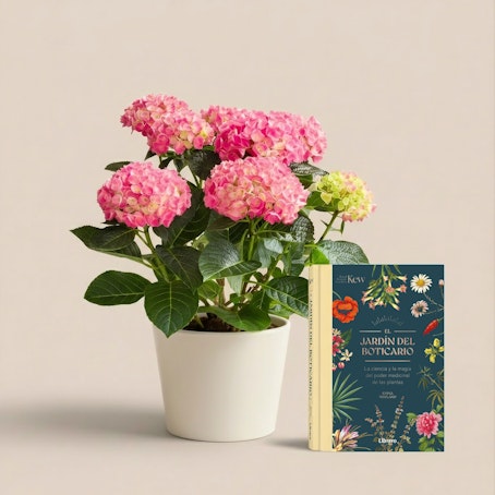 El jardín de mi corazón