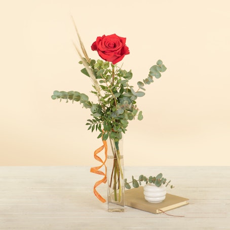 Día de la Rosa