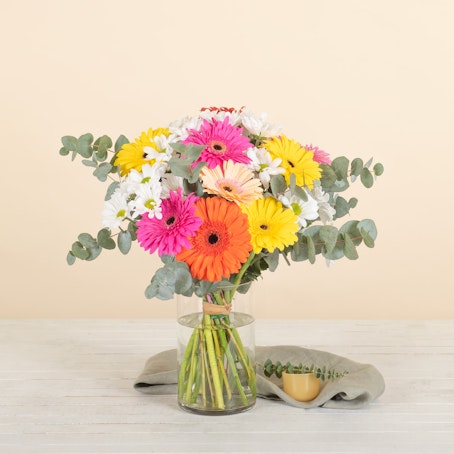 Gerberas y Margaritas