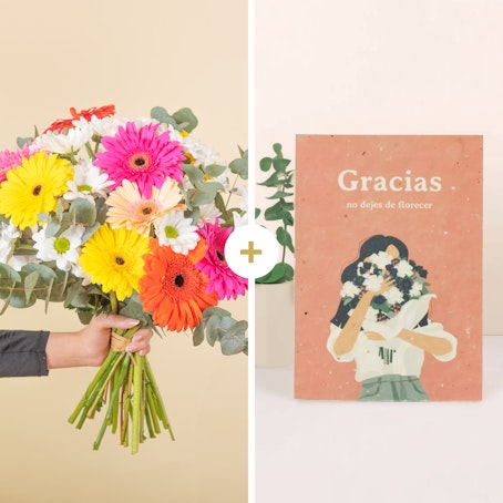 Un Gracias Especial