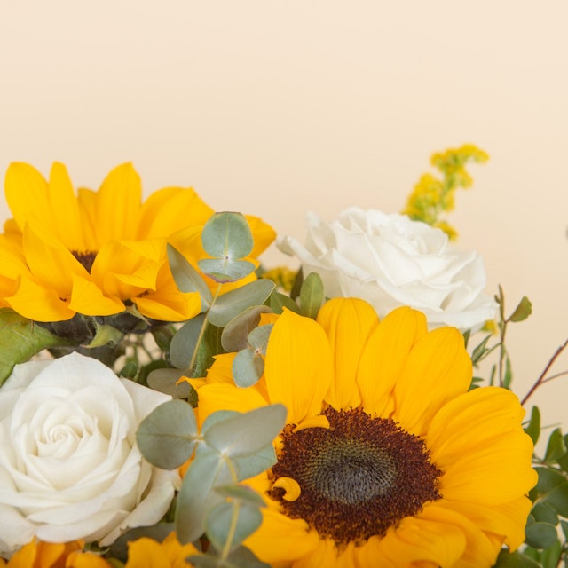 Girasoles y Rosas Blancas