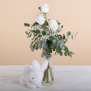 Tierno Blanco