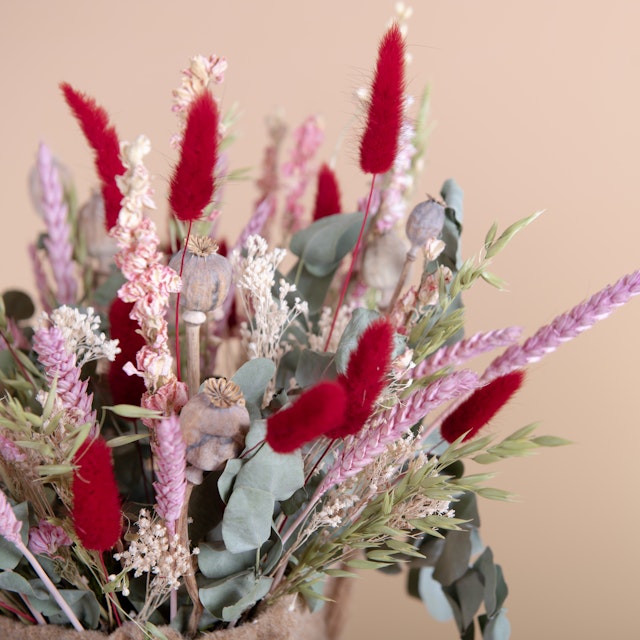 Dulce Hogar