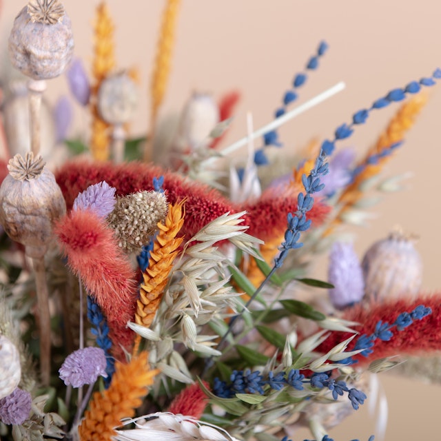 Tropical