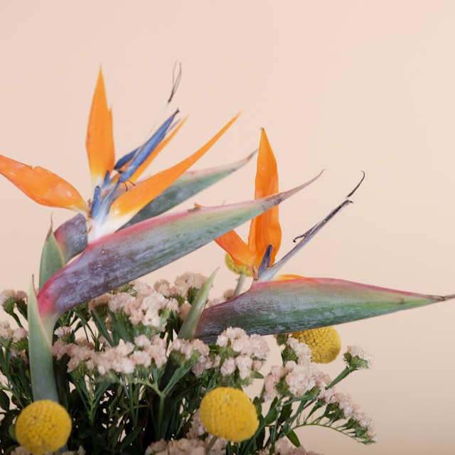 Fiesta Floral
