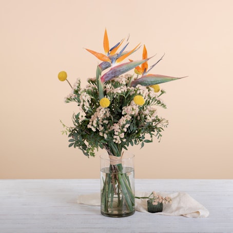 Fiesta Floral
