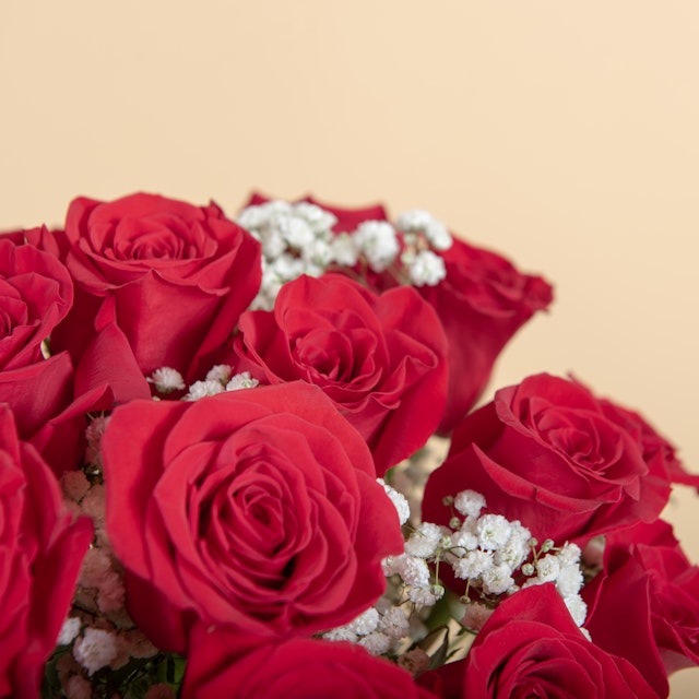 Ramo de rosas rojas