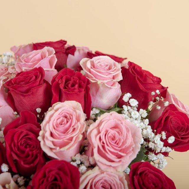 Ramo de rosas rojas y rosas