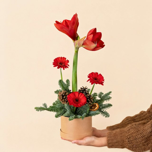 Regalos de invierno