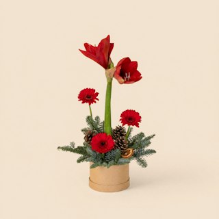 Regalos de invierno