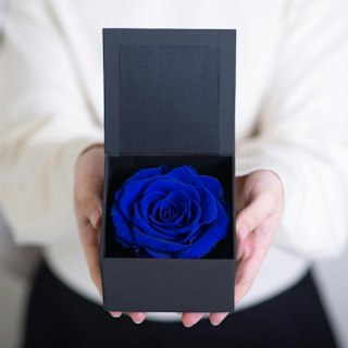 Rosa Eterna Azul