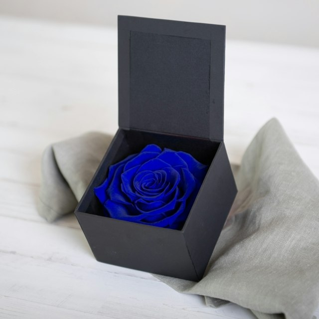 Rosa Eterna Azul