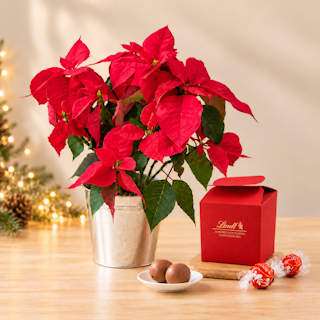 Navidad contigo